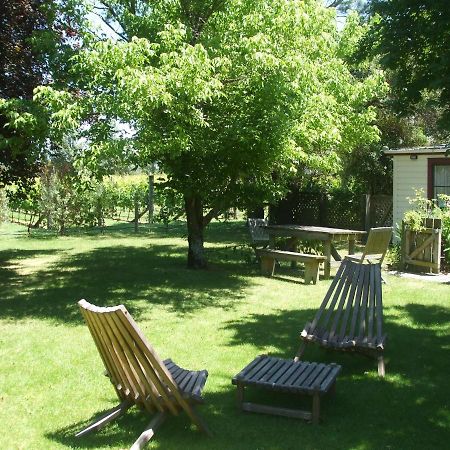 Villa In The Vines Martinborough Dış mekan fotoğraf
