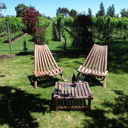 Villa In The Vines Martinborough Dış mekan fotoğraf