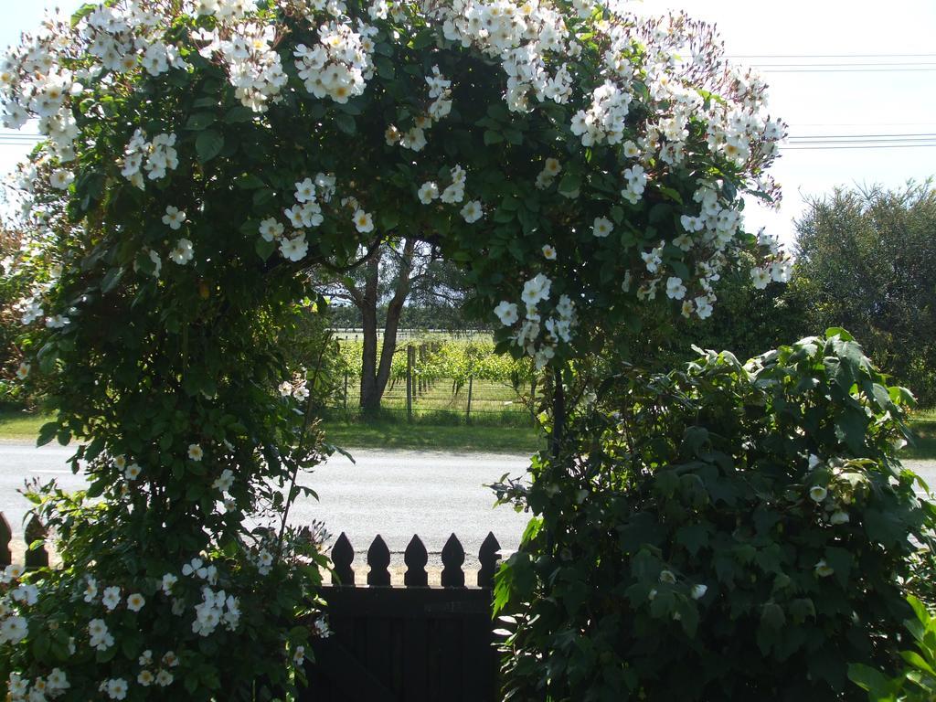 Villa In The Vines Martinborough Dış mekan fotoğraf