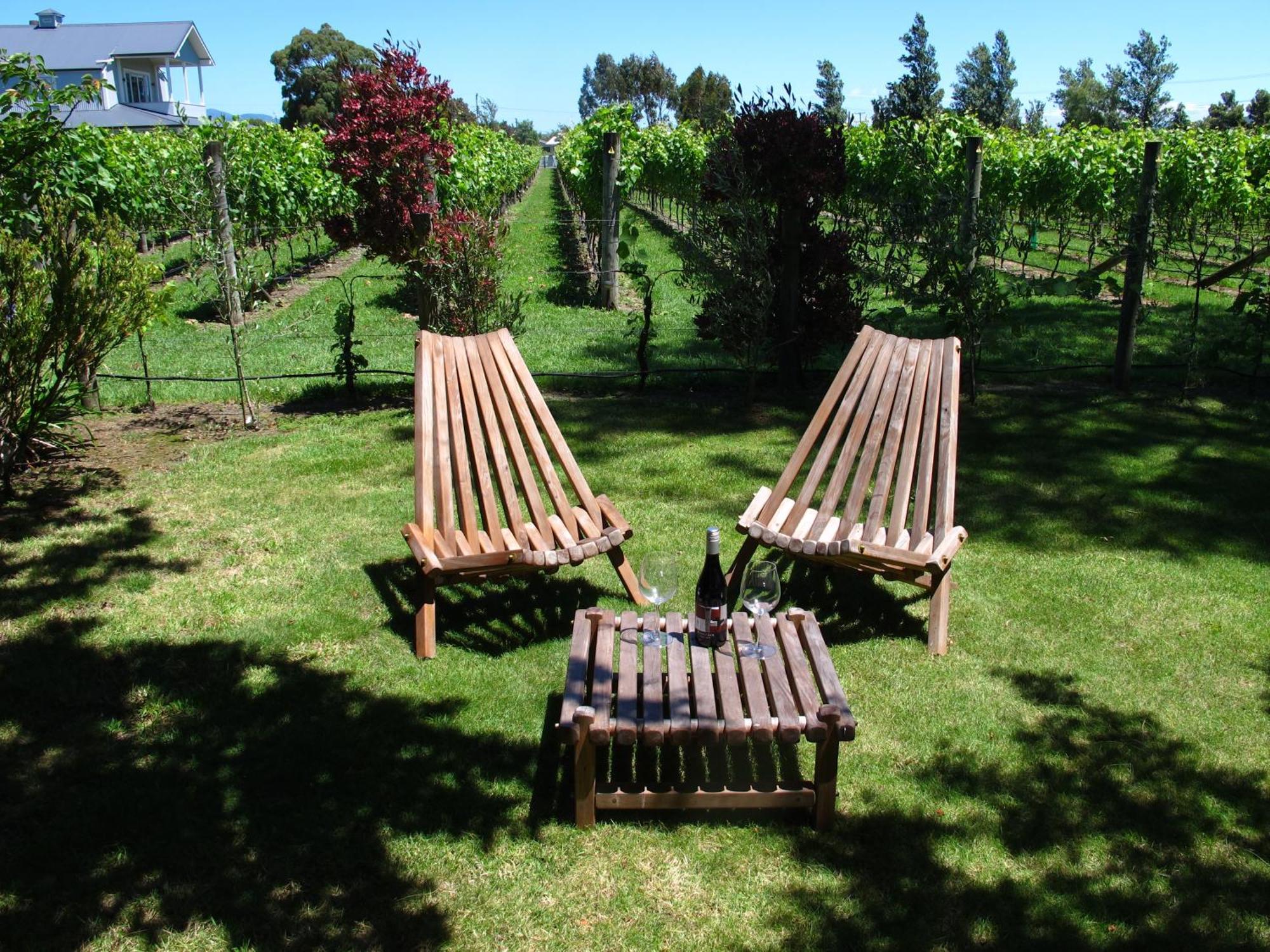 Villa In The Vines Martinborough Dış mekan fotoğraf